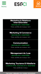 Mobile Screenshot of esgci.com